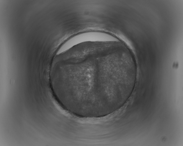 X0000090870009200708241929
