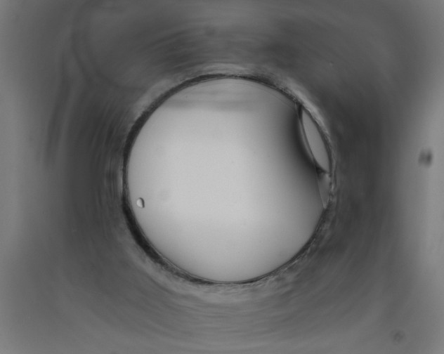X0000090870011200708241929