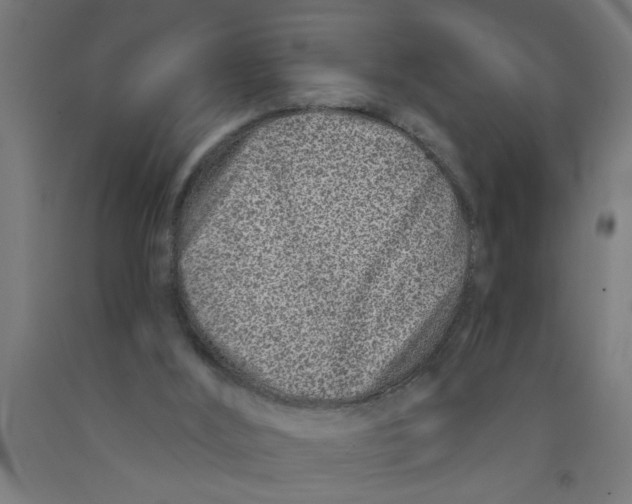 X0000090870012200708241929
