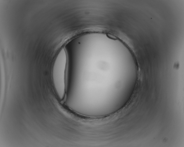 X0000090870013200708241929