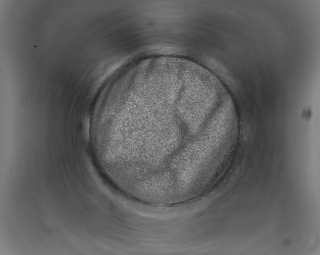 X0000090870014200708241929