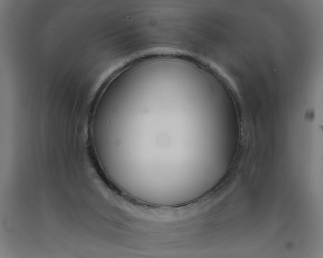 X0000090870015200708241929