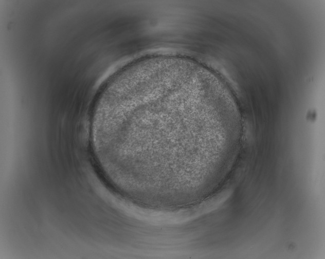 X0000090870016200708241929