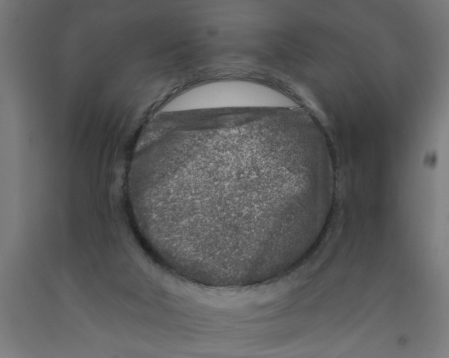 X0000090870018200708241929