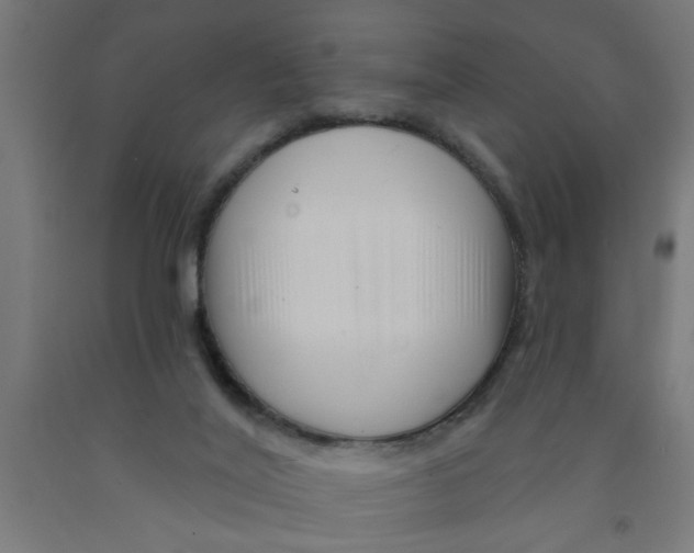 X0000090870020200708241929