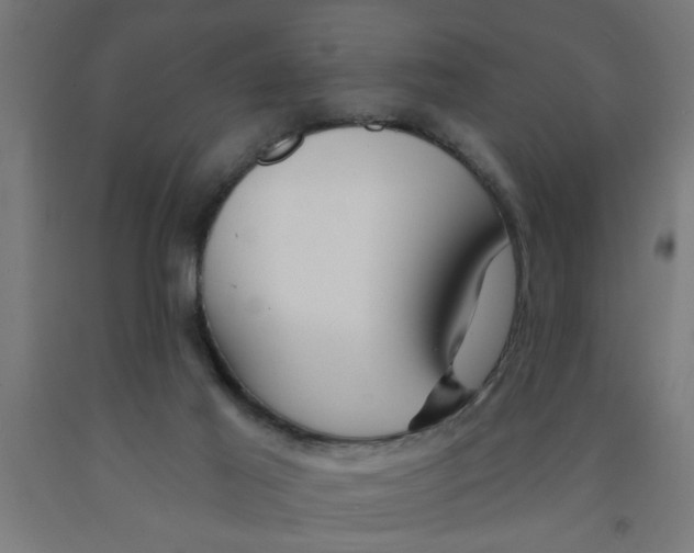 X0000090870021200708241929