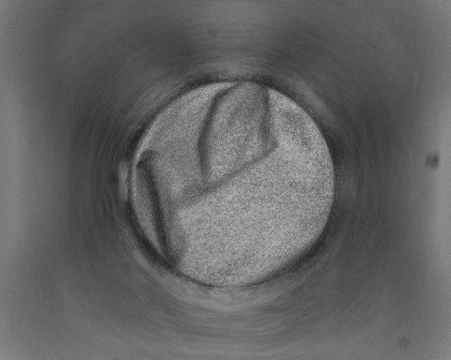 X0000090870022200708241929