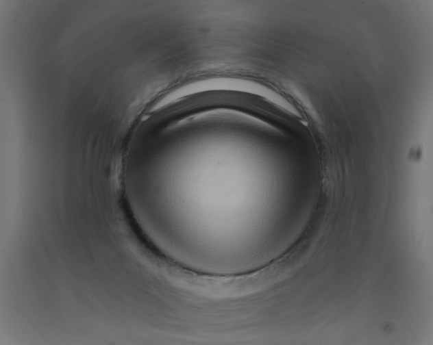 X0000090870023200708241929