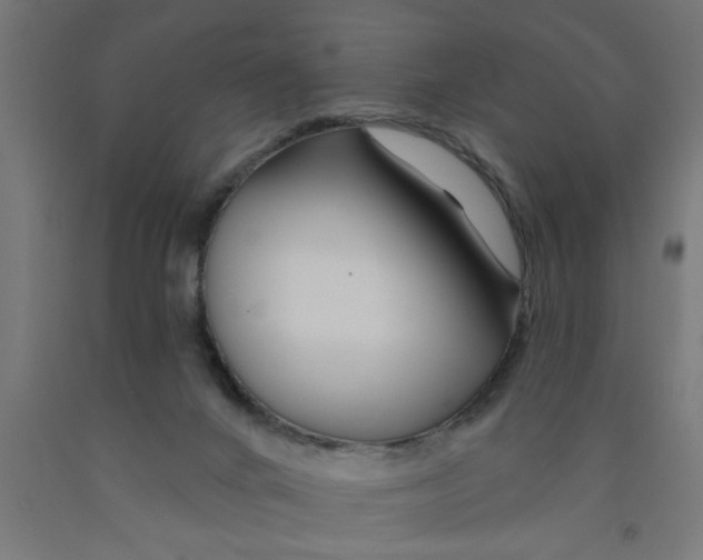 X0000090870024200708241929