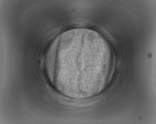 X0000090870026200708241929