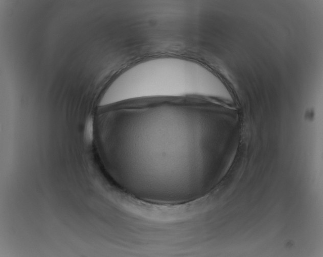 X0000090870027200708241929
