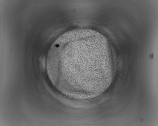X0000090870028200708241929