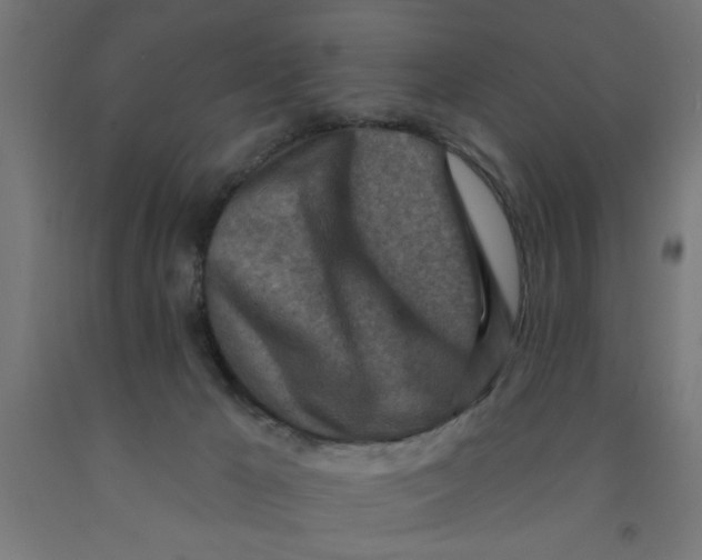 X0000090870029200708241929