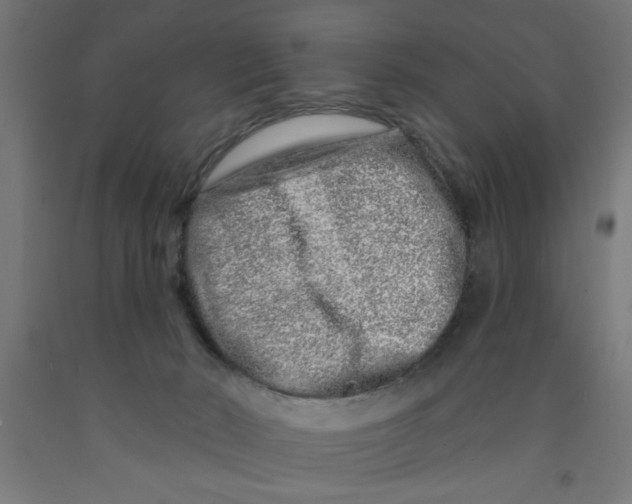 X0000090870030200708241929