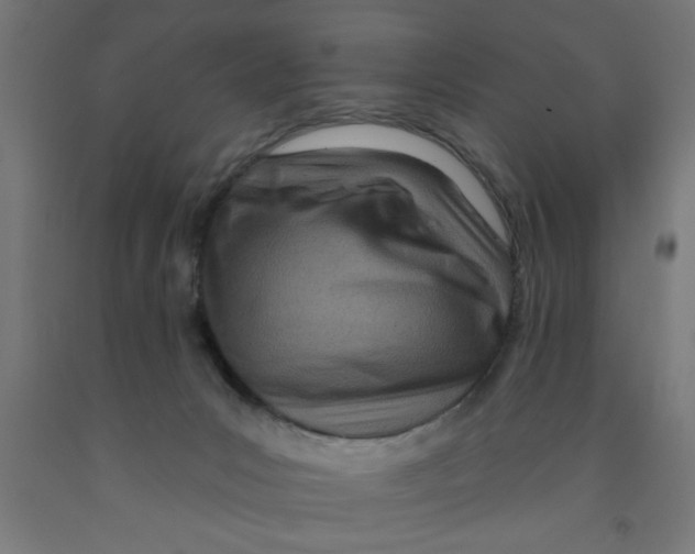 X0000090870031200708241929