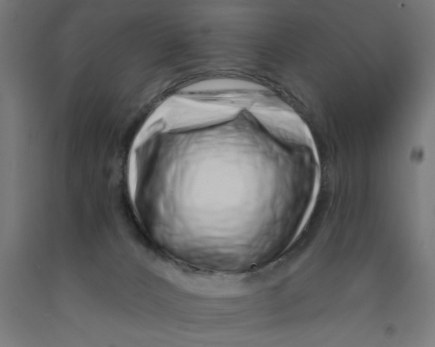 X0000090870032200708241929