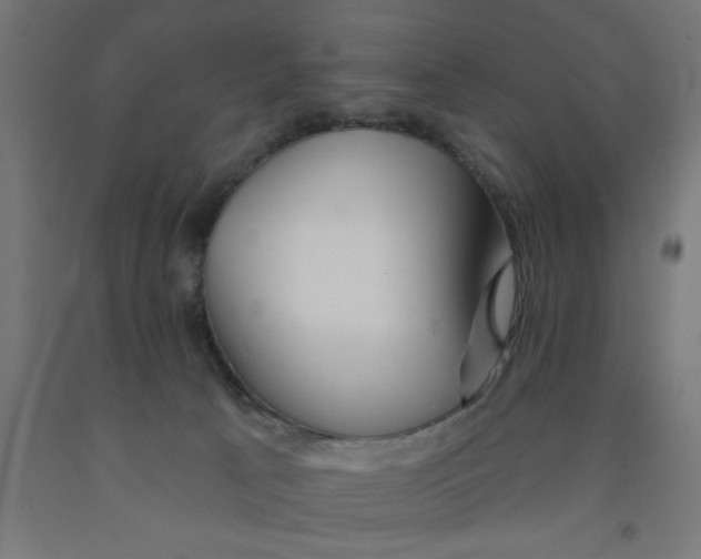 X0000090870033200708241929