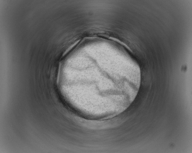 X0000090870034200708241929