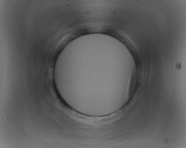 X0000090870035200708241929