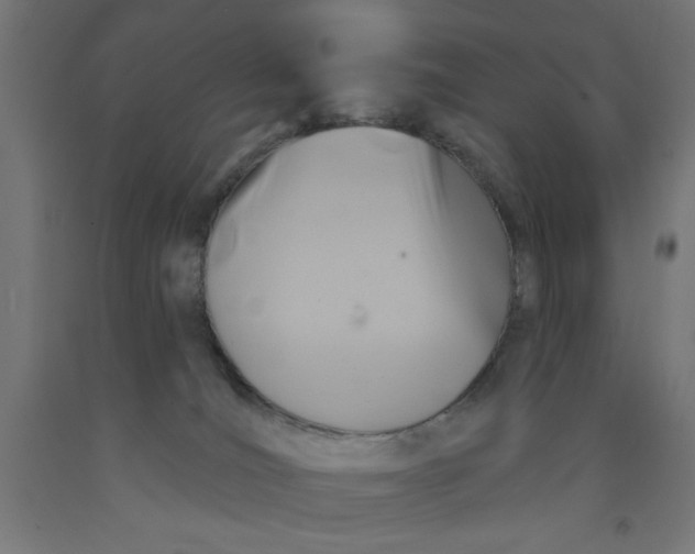 X0000090870036200708241929