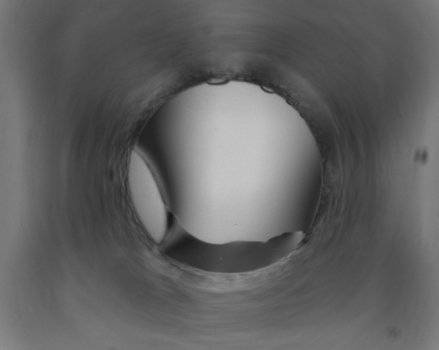 X0000090870037200708241929