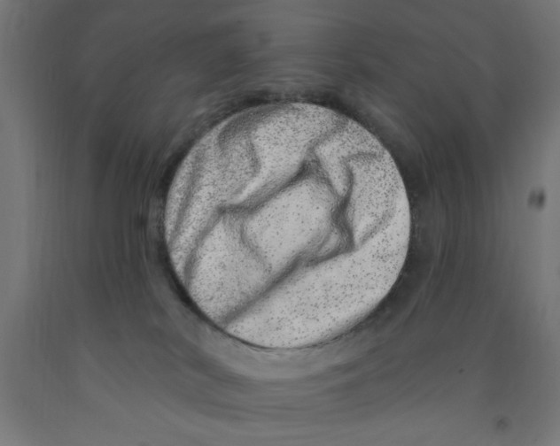 X0000090870038200708241929