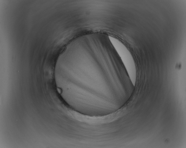 X0000090870039200708241929