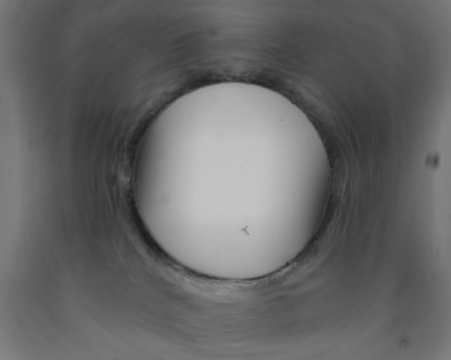 X0000090870040200708241929