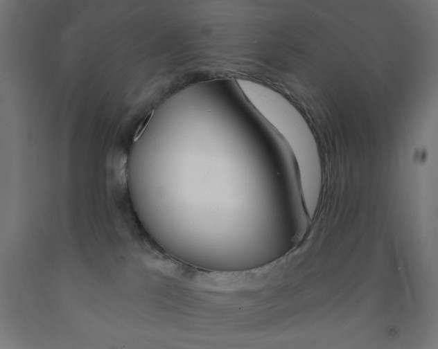 X0000090870041200708241929