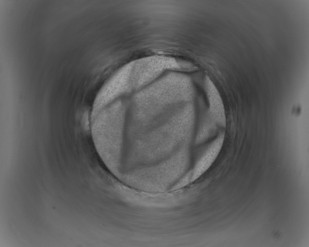 X0000090870042200708241929