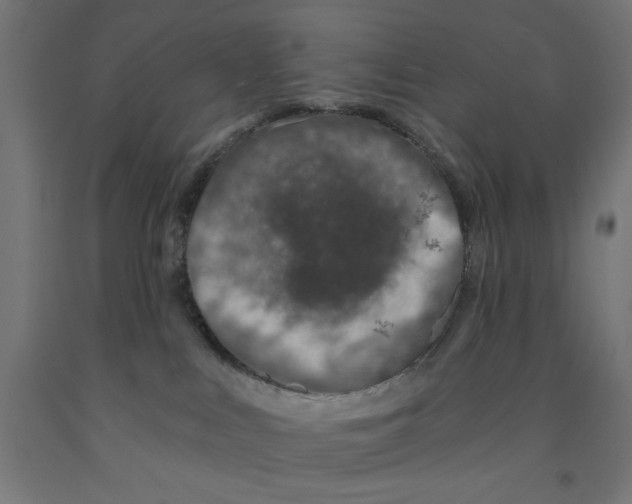 X0000090870043200708241929