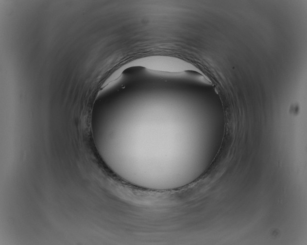 X0000090870044200708241929