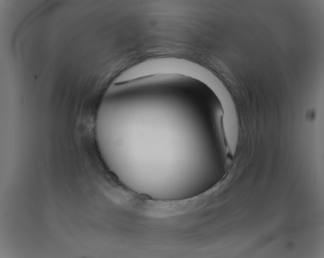 X0000090870045200708241929