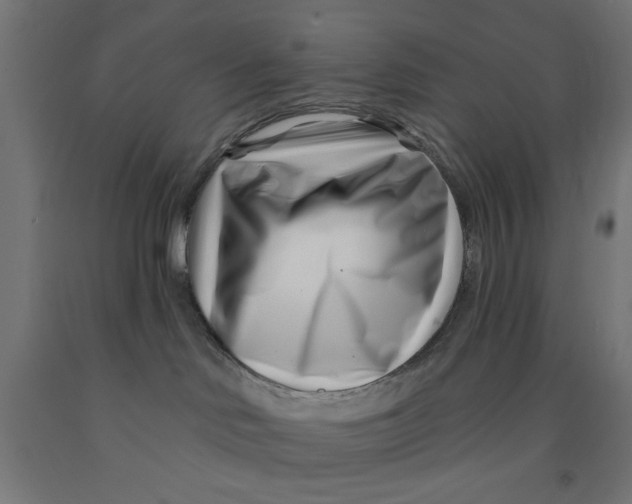 X0000090870046200708241929
