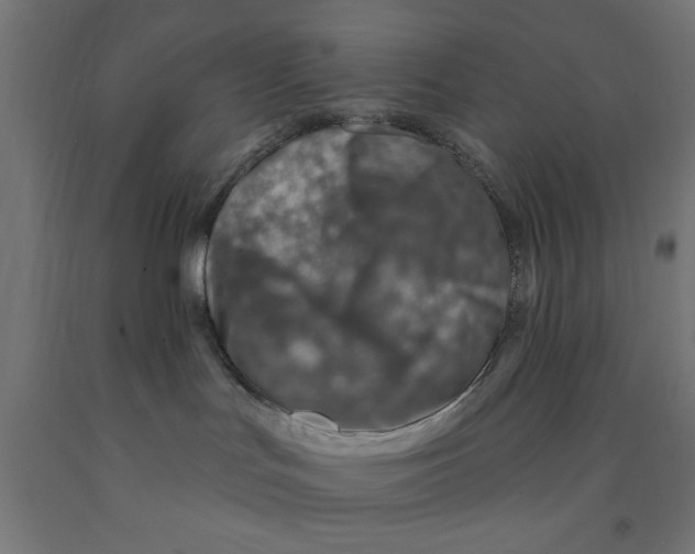 X0000090870047200708241929