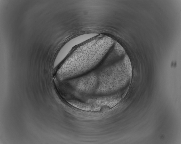 X0000090870048200708241929