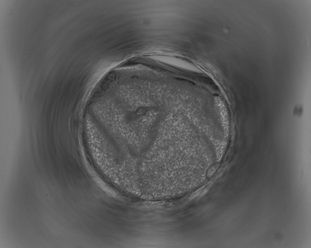 X0000090870049200708241928