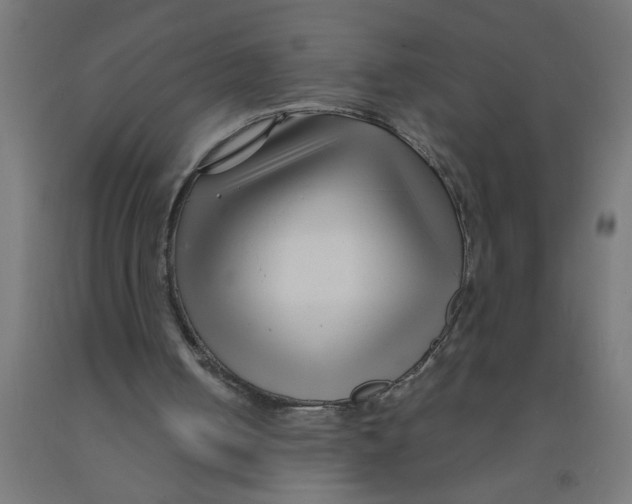 X0000090870050200708241928