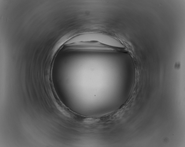 X0000090870051200708241928