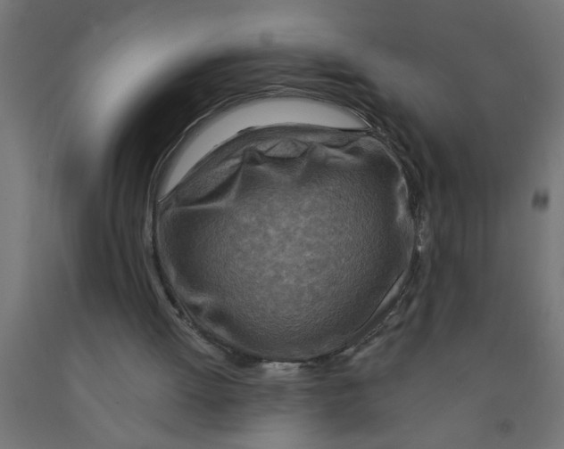 X0000090870052200708241928