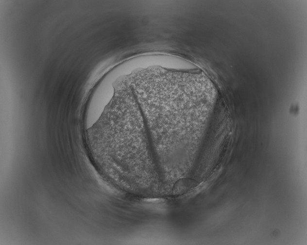 X0000090870053200708241928