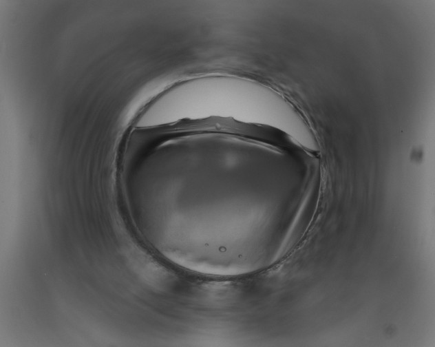 X0000090870054200708241928