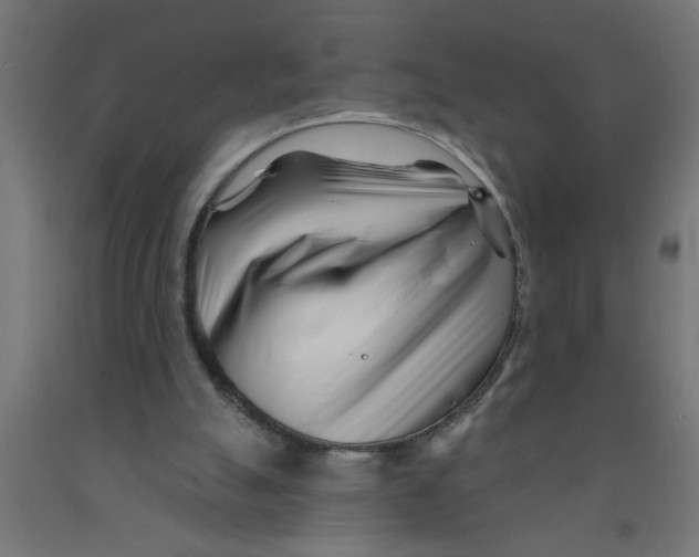 X0000090870055200708241928