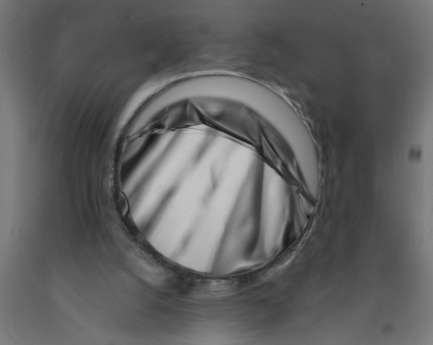 X0000090870056200708241928