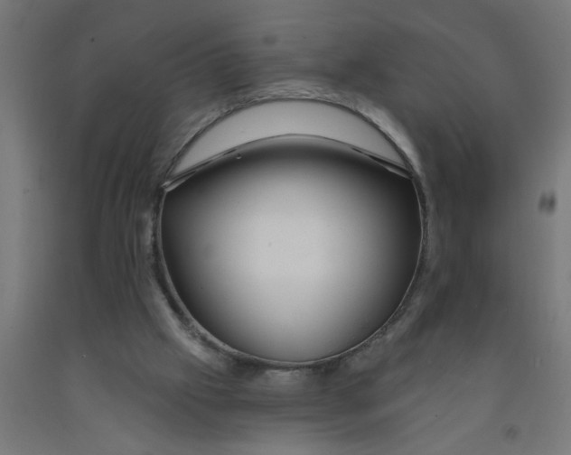 X0000090870057200708241928