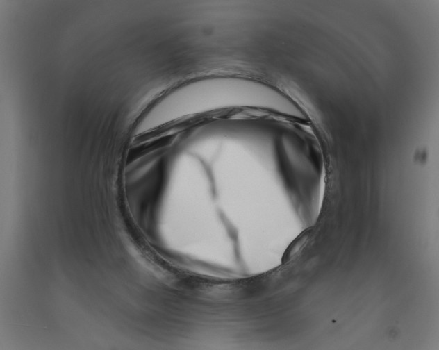 X0000090870058200708241928