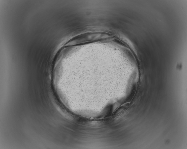 X0000090870059200708241928
