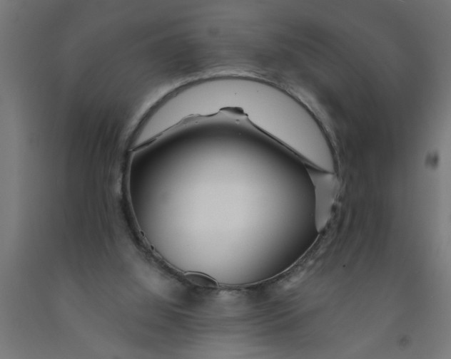 X0000090870060200708241928