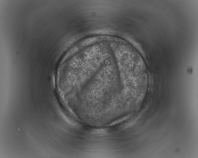 X0000090870061200708241928