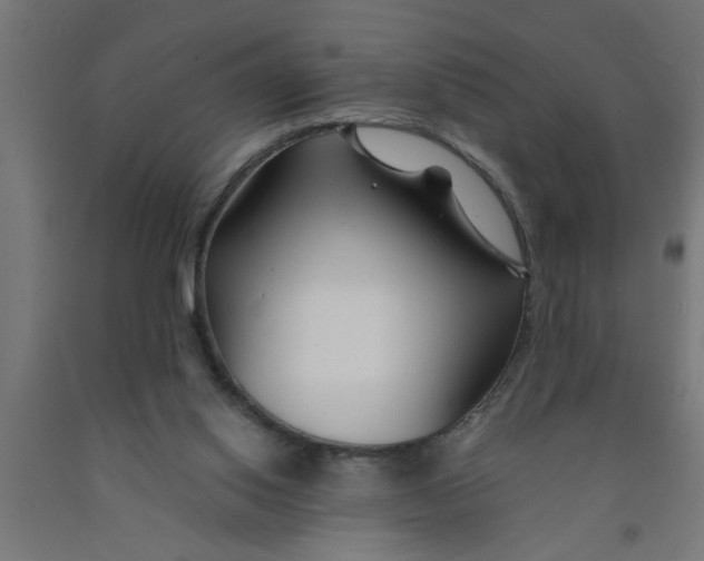 X0000090870062200708241928